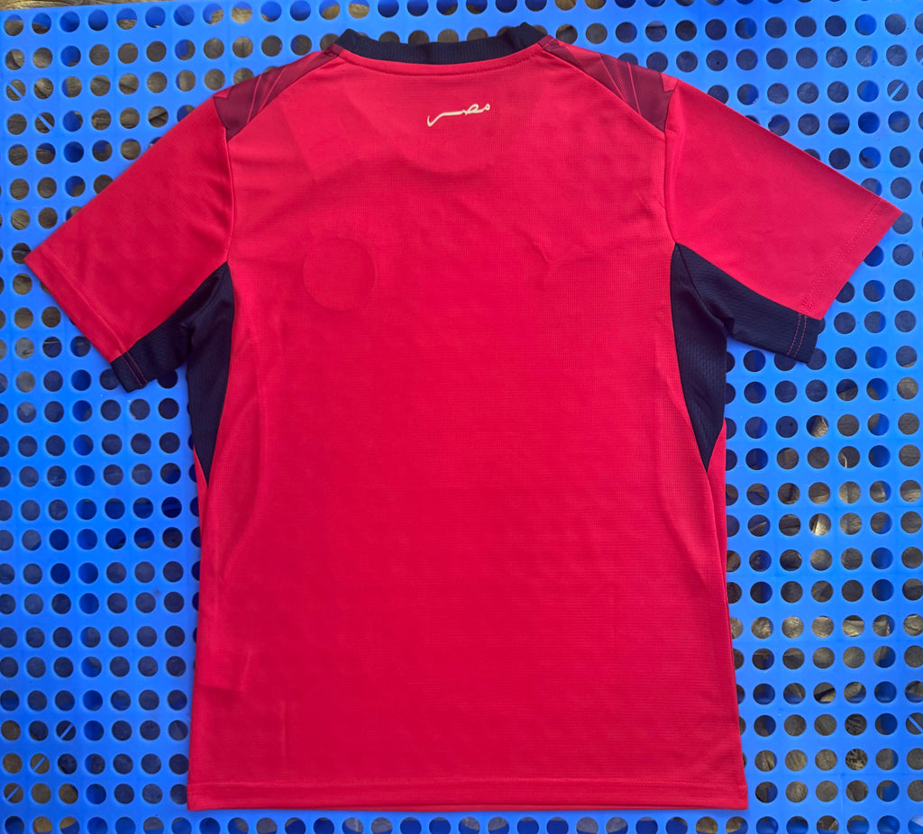maillot Egypte 26-27